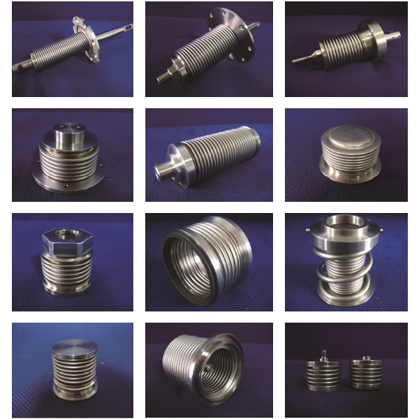 �x���x�����y��ϵ��