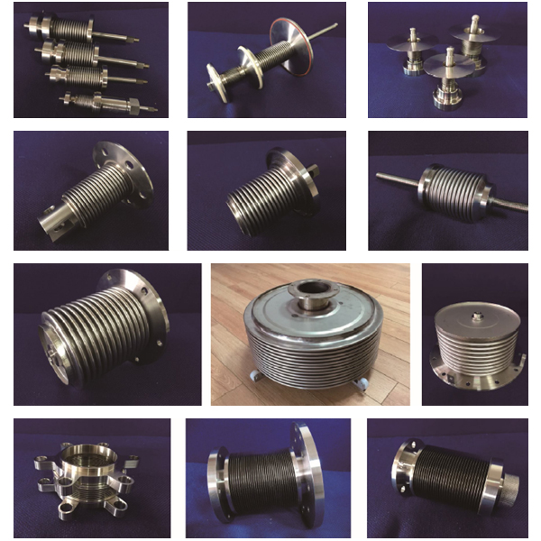 �x���x�����y��ϵ��